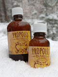 Propolis - kit pszczeli