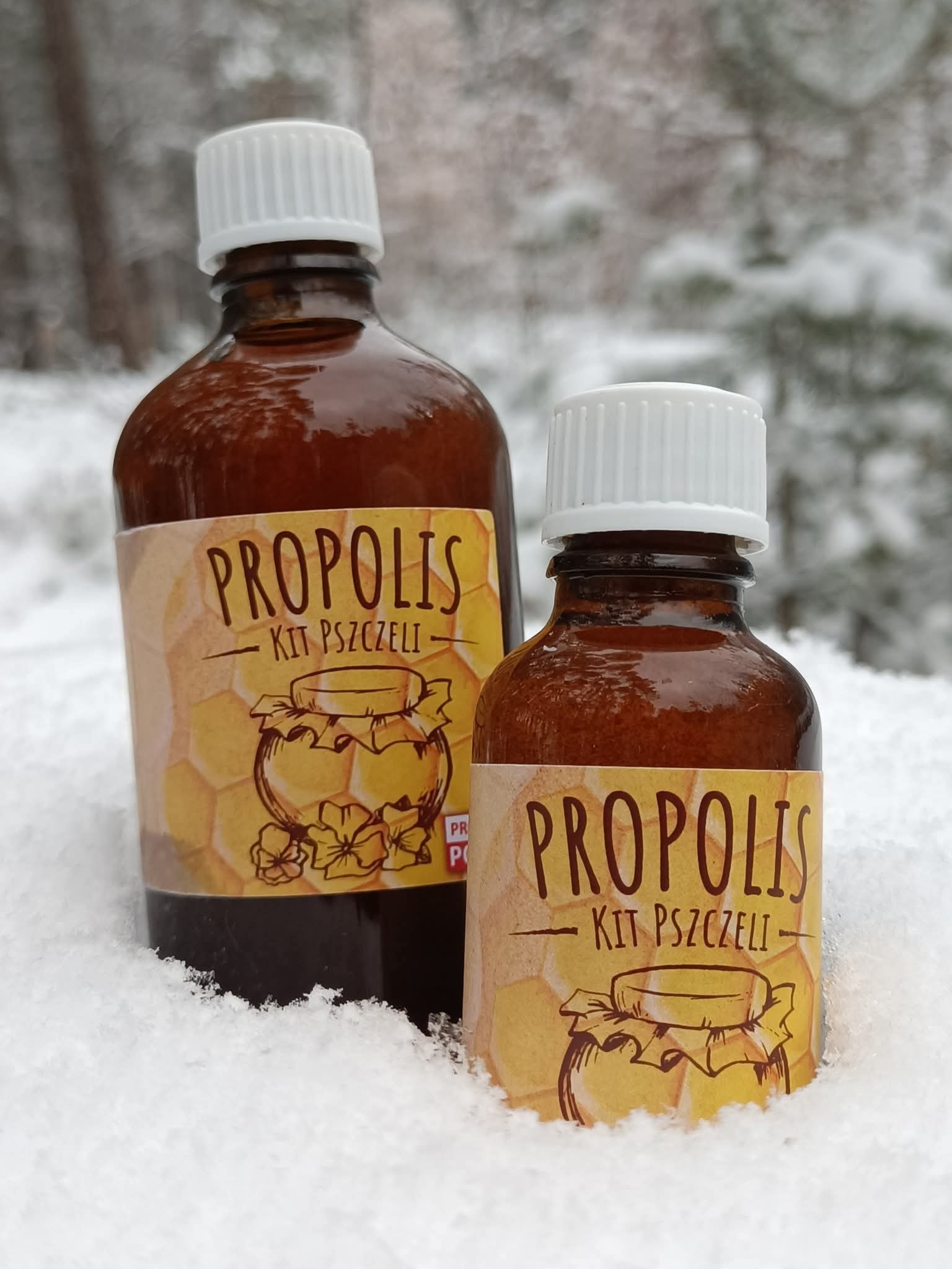 Propolis - kit pszczeli