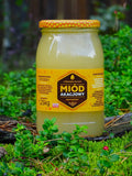 Miód akacjowy 1,25 kg – naturalny miód z pasieki
